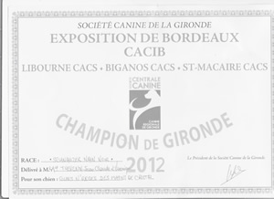 champion de gironde